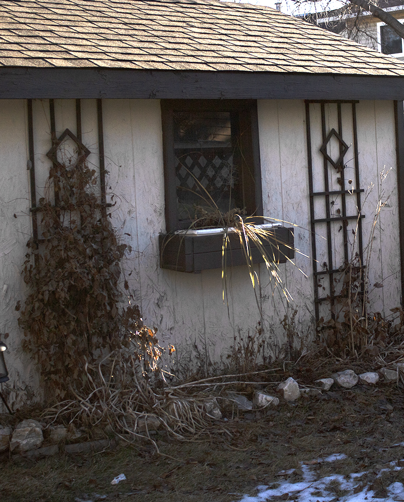 Processed - Bright and cheery