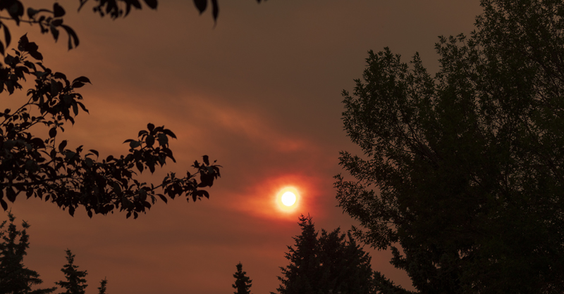 Smoky Sun