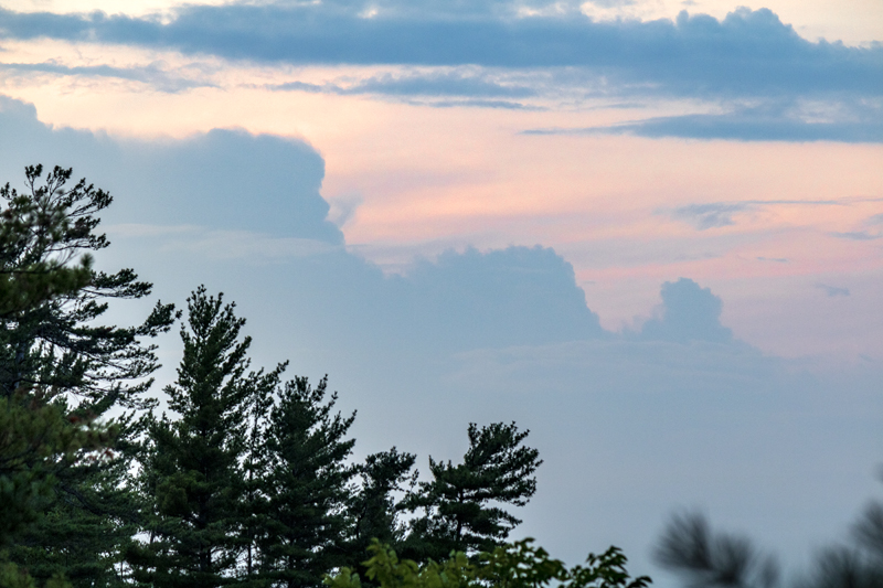 clouds mimic tree line